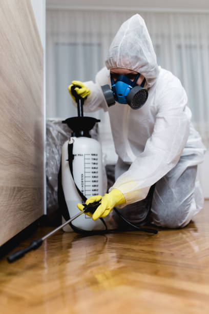 Professional Pest Control in Mattoon, IL